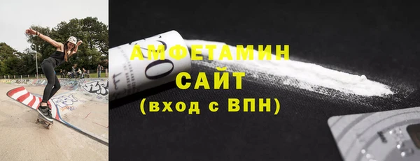 СК Алексин