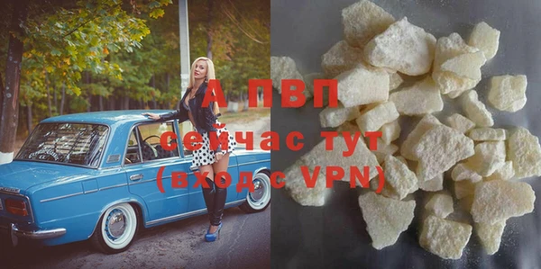 СК Алексин