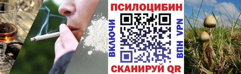 где можно купить   Комсомольск  MEGA маркетплейс  Псилоцибиновые грибы GOLDEN TEACHER 